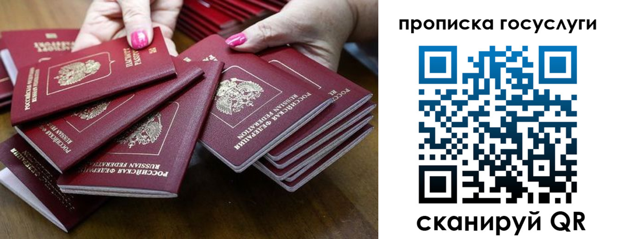 миграционный учет в Димитровграде